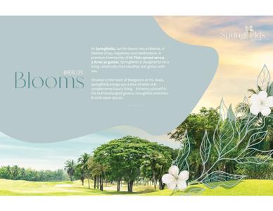 Reilly Springfields Brochure 2