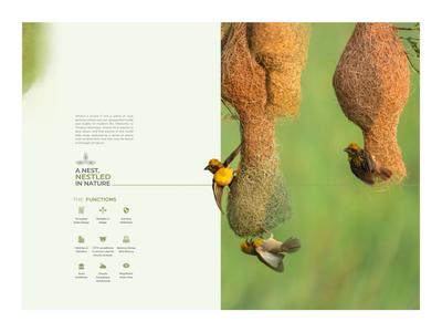 Trinetra Silvernest Brochure 11