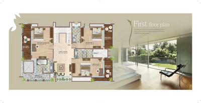 Regency Willows Brochure 22