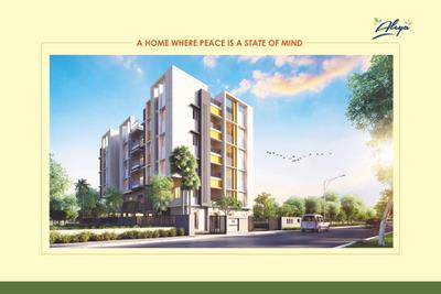 Adonis Aleya Brochure 12