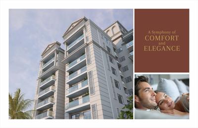 BP DPS Palladio Brochure 9