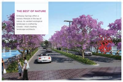 Embassy Springs Brochure 14