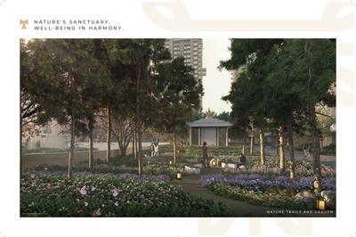 ACE Terra Brochure 14