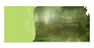 Regency Willows Brochure 3