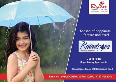 Redtree Raindrops Brochure 1