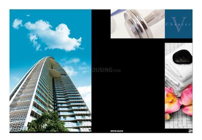Brys Buzz Brochure 21