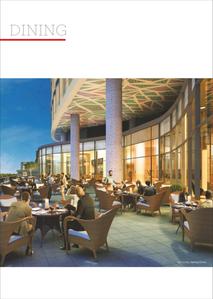 SS 100 Brochure 13