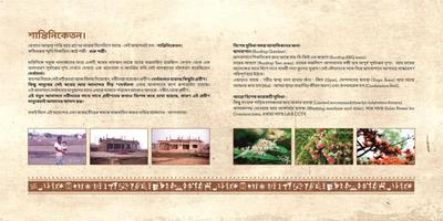 Debarchona Brochure 2
