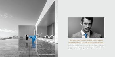 Alpha Corp Sky1 Brochure 5
