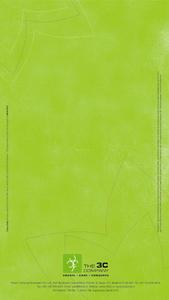 The 3C Lotus Zing Brochure 26