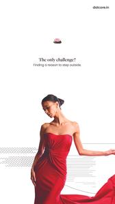The Falcon Brochure 14