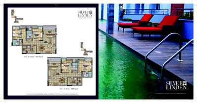 Malabar Silver Linden Brochure 7