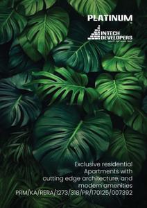 Intech Platinum Brochure 1