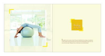 Anmol Gold Brochure 9