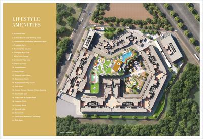 Basil Maximus Brochure 7