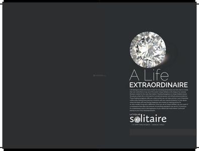 Unique Builder Solitaire Brochure 2