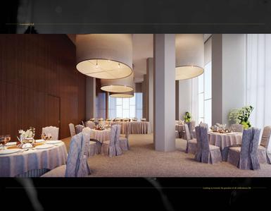 Darpan 88 Phase I Brochure 27