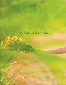 Modello Highs Brochure 3