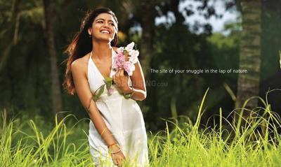 Value Willow Farm Brochure 3