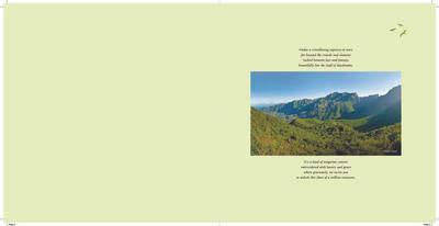 Ekta Greenville Brochure 2