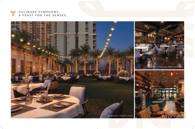 ACE Terra Brochure 17