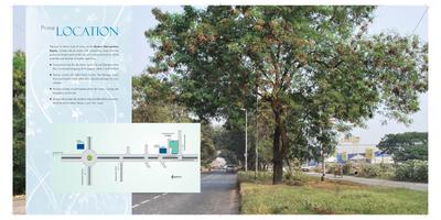 Avidipta Brochure 3