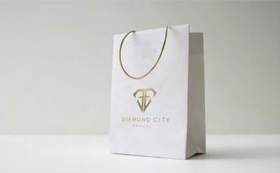 Diamond City  Brochure 1