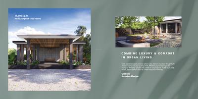 Northern Lights Brochure 6