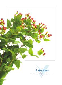 Vertex Lake View Brochure 1