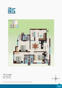 Crescent Iris Brochure 12