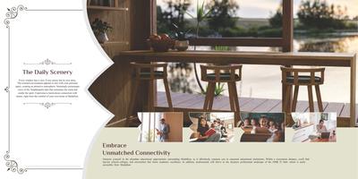 DAC Medallion Brochure 6