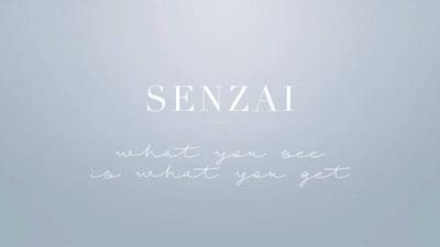 Senzai Brochure 25
