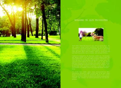 Alps Pleasanton Brochure 2