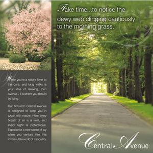 CHD Avenue 71 Brochure 5