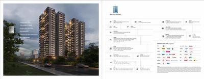 The Linea Brochure 18