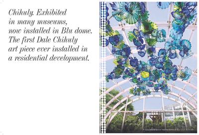 Indiabulls Blu Brochure 26