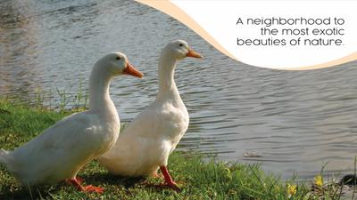 Sterling Vedic Village Brochure 8
