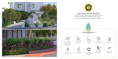 ARK Oak Tree Brochure 28