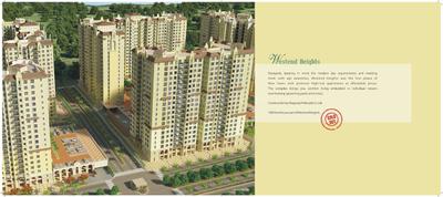 DLF Bella Greens Brochure 18