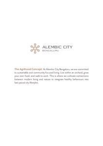 Alembic Cloud Forest Brochure 2