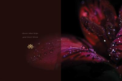 Agarwal Florence Brochure 24