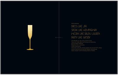 PS Aurus Brochure 8