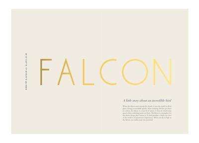 Image of 1058 Sq.ft 2 BHK Apartment / Flat for sale in Kohinoor Falcon, Sus, Pune for Rs. 9800000