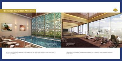 Pate Seya Brochure 6