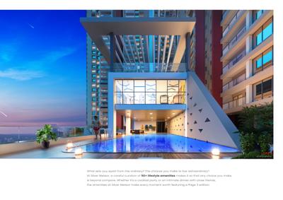 Silver Meteor Brochure 14