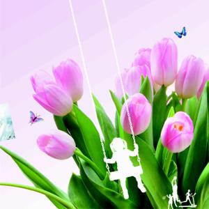 Divyansh Flora Phase 2 Brochure 5