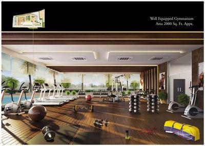 Joy Legend Wing A Brochure 13