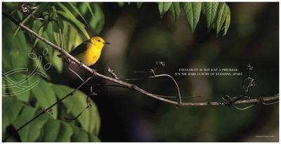 Arkade Nest Brochure 2
