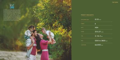 Cybercity Stone Ridge Brochure 5