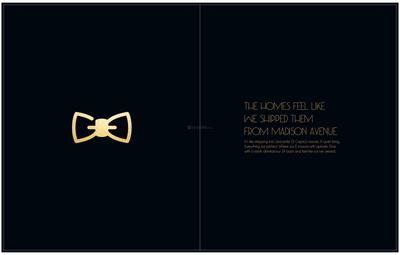PS Aurus Brochure 14